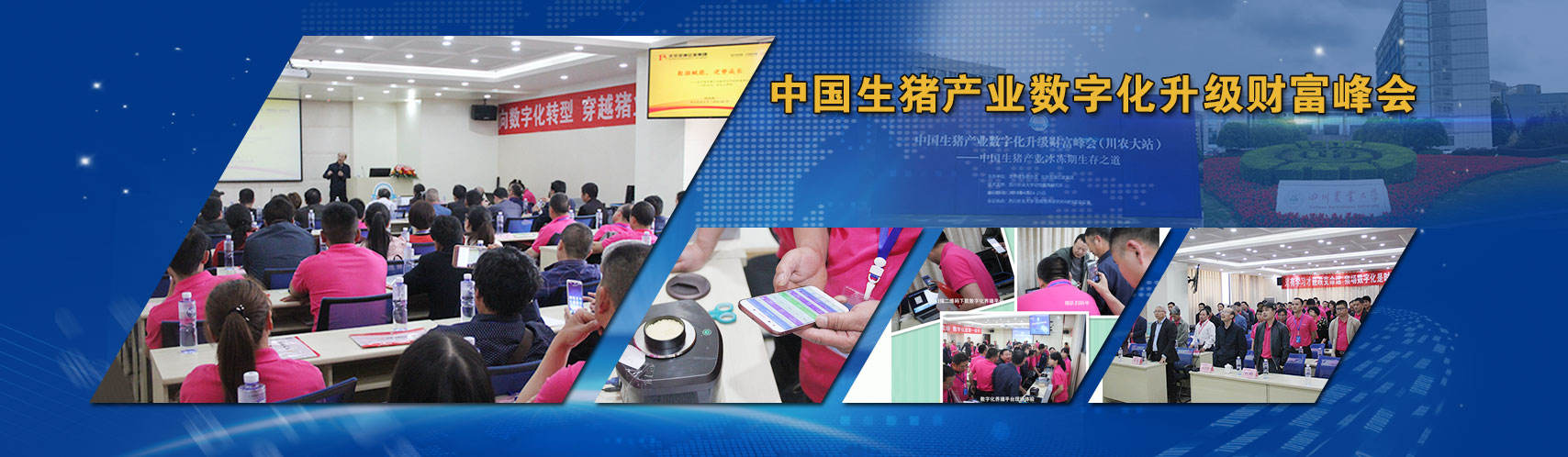 ayx游游戏app下载